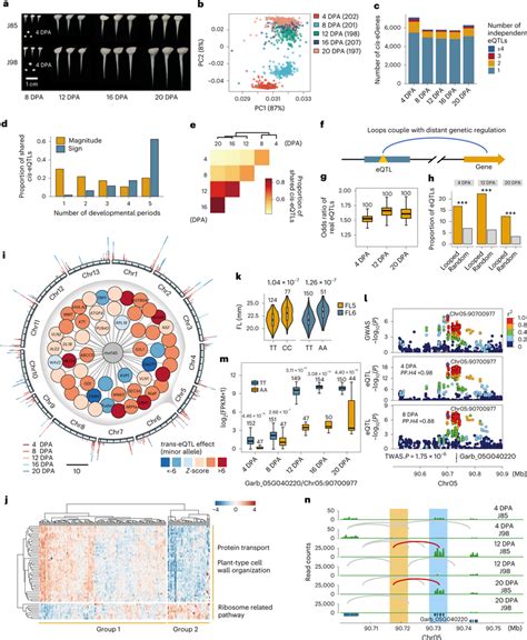 Eqtl Mapping And Discovery Of Candidate Genes A Characteristics Of