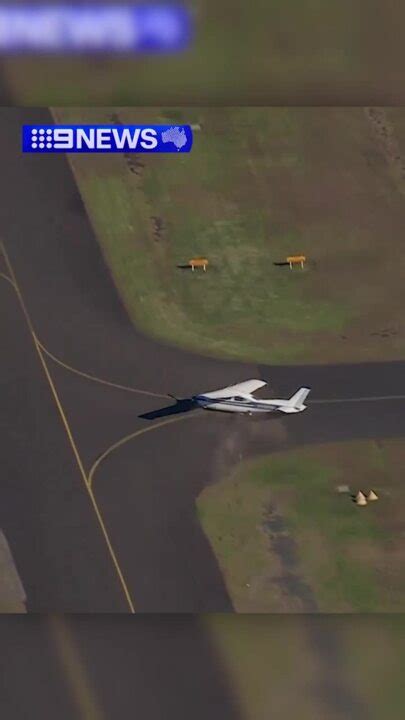 Bankstown Airport Pilot Uninjured After Crash Landing Au