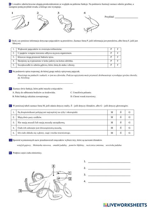 Klasa 6 stawonogi i mięczaki worksheet English tips Worksheets