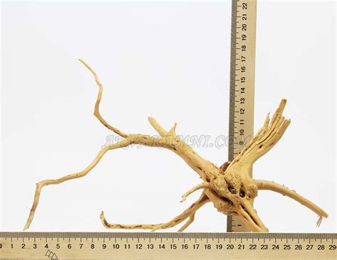 Корень Азалии 15-25см (размер L) для аквариума