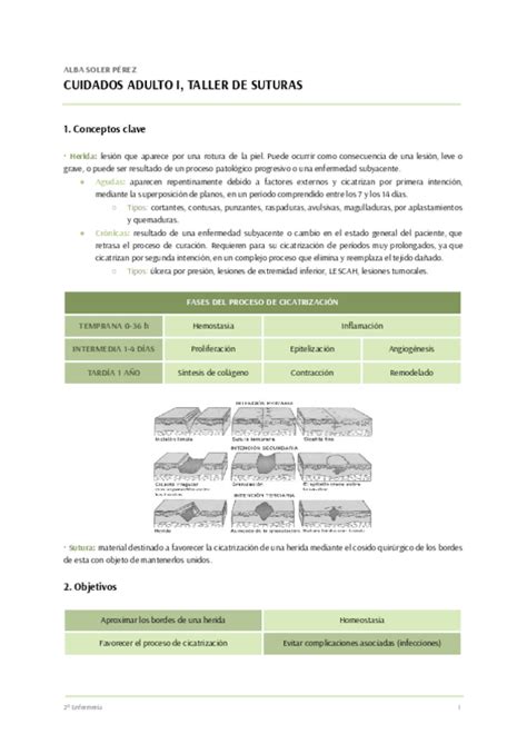 Taller De Suturas Pdf