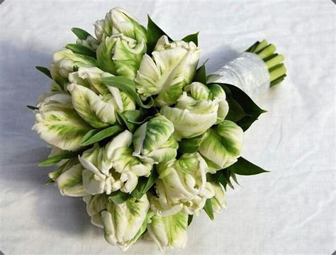 Wedding Bouquet Of Green Parrot Tulips Parrot Tulips Bouquet Tulip