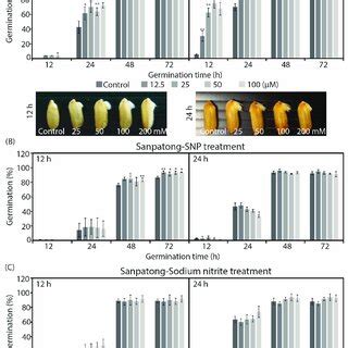 The Effects Of H2O2 SNP And Sodium Nitrite On Germination Of