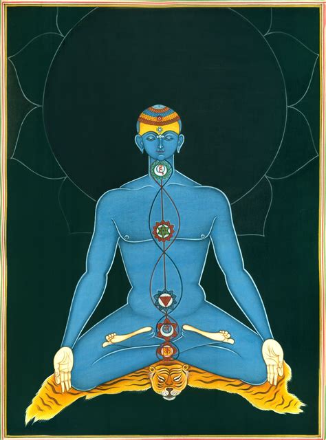 Kundalini Yoga Chakras In Human Body Exotic India Art