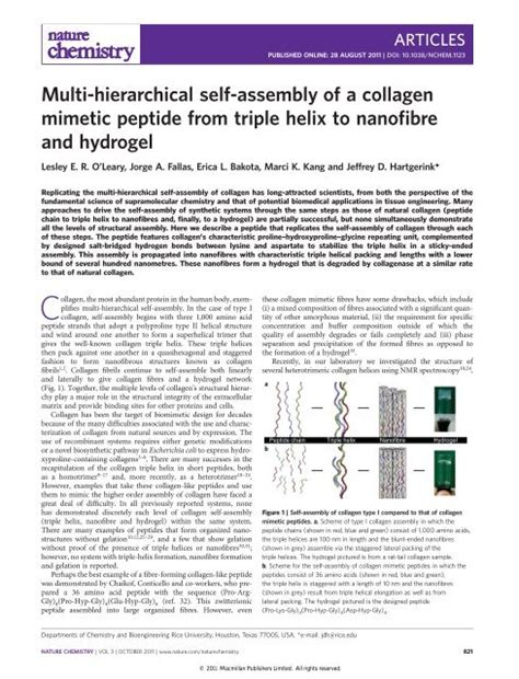 Multi Hierarchical Self Assembly Of A Collagen Mimetic Peptide From