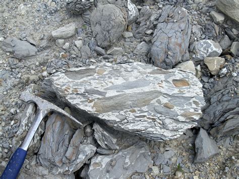 Rip Up Clasts In Micaceous Sandstone Lower Pottsville Gro Flickr