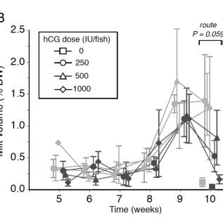 Effects Of Human Chorionic Gonadotropin Injection On Sperm Quantity