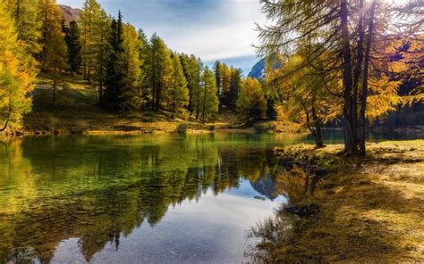 Леса Швейцарии | Landscape, Nature photography, Nature