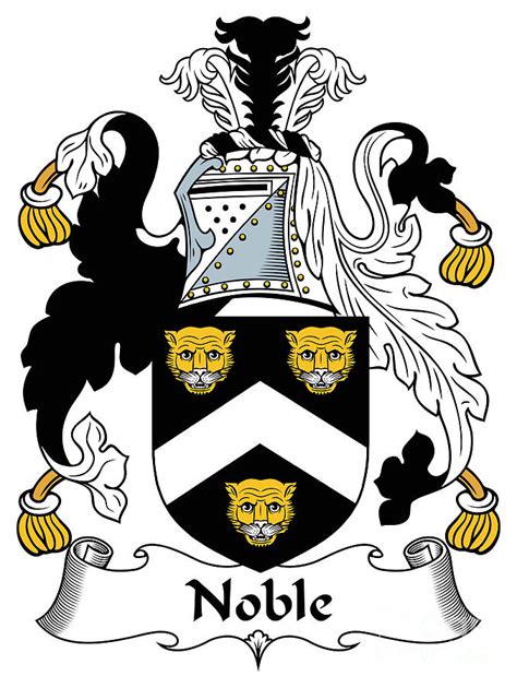 Noble Coat Of Arms Irish Digital Art by Heraldry