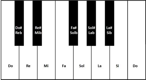 Notas Musicales C Mo Se Clasifican Cu Les Son Las Notas Musicales