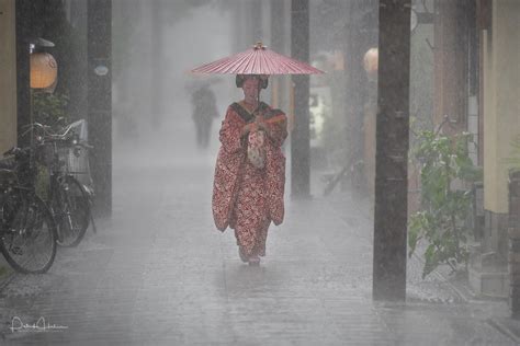 Umbrellas in the Rain in Towns and Cities - Urban landscape photo ...