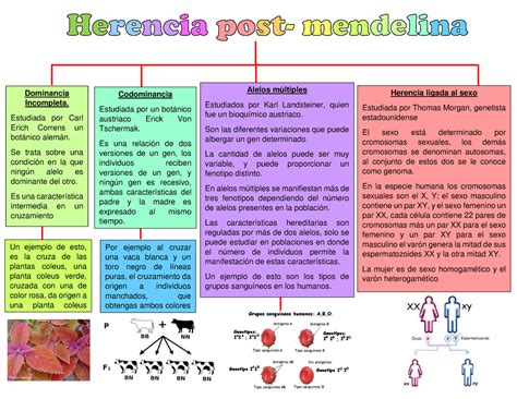 Herencia POST Mendelina Alelos múltiples Estudiados por Karl