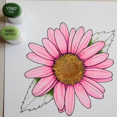 20 Easy Flowers Drawing Ideas For Beginners To Try ArtBeek