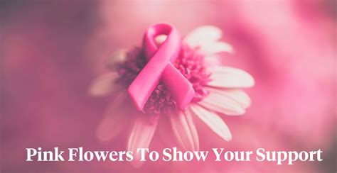 5 Pink Flowers That Support Breast Cancer Awareness Month Article On