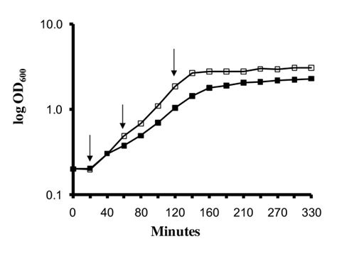 Growth Curve Of E Faecalis V In Liquid Bhi Medium With Black