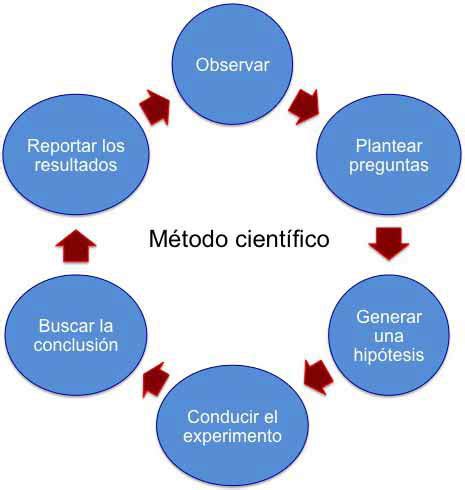 Mapa Conceptual Del M Todo Cient Fico Gu A Paso A Paso