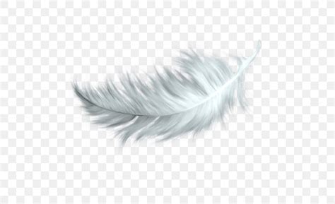 White Feather Clip Art, PNG, 500x500px, Feather, Black And White, Color ...