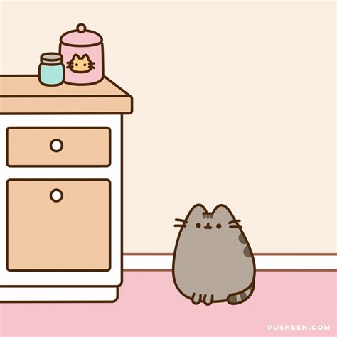 Pusheen Cat S