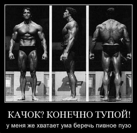 Демотиватор качки (47 фото)