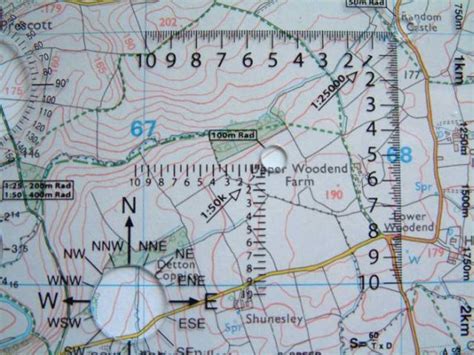 basic roamer   basic roamer rps store