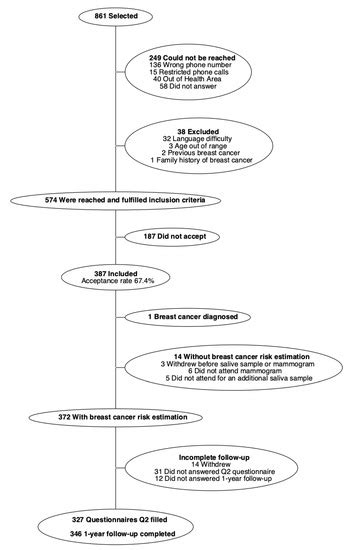 Ijerph Free Full Text Feasibility And Acceptability Of Personalized