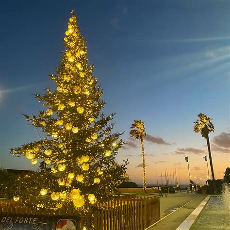 Si Accende Il Natale A Forte Dei Marmi Versiliatoday It