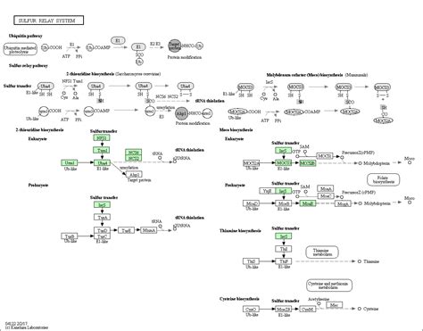 Sulfur Relay System Affinity Biosciences Ltd