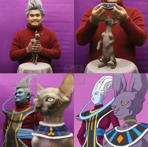 Beerus cosplay : r/ksi