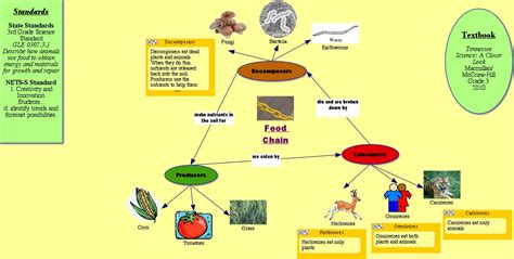 Silver Prices Simple Food Chain Diagram