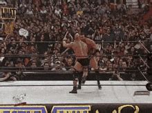 Stone Cold Steve Austin Stone Cold Stunner GIFs | Tenor