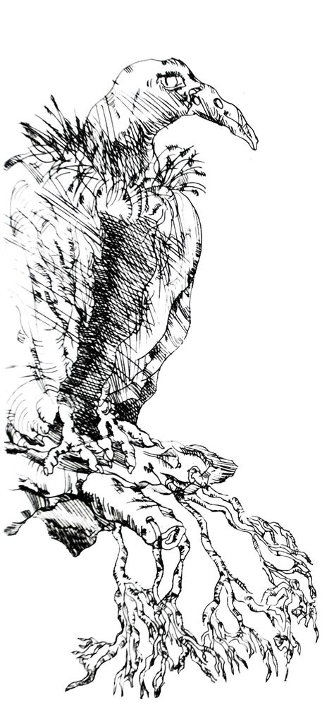 1243754224934010998883402222103o Arthur Adams