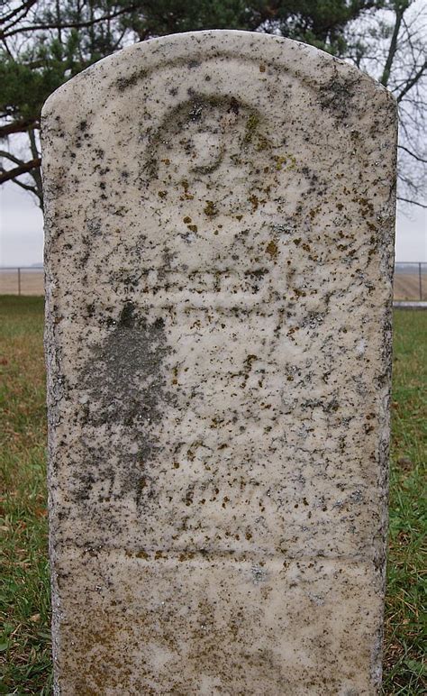 Albert Larson Brandvold M Morial Find A Grave