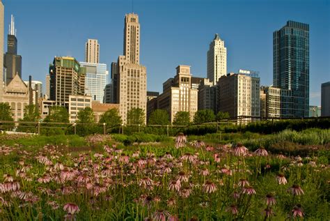 Shot Of The Day Grant Park Chicago