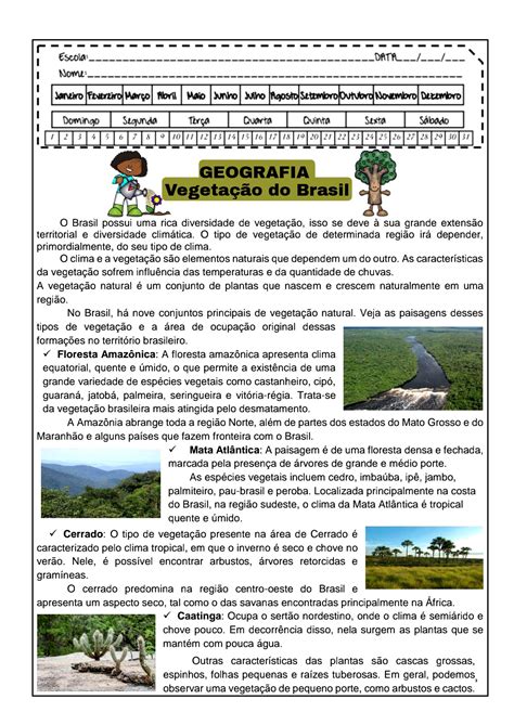 Avalia O De Geografia O Ano Clima E Vegeta O Gabarito Epnedu