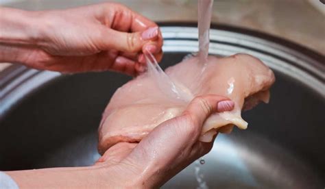 Por Qué No se debe lavar el pollo antes de cocinarlo CIENCIAPEDIA