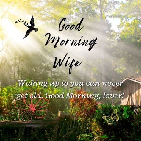 50 Best Romantic Good Morning Messages For Wife In 2024