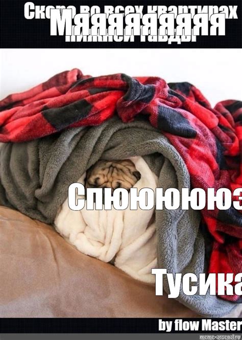 Мем: "Мяяяяяяяяя Спюююююэ Тусика" - Все шаблоны - Meme-arsenal.com