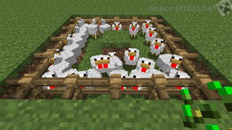 How To Build A Chicken House In Minecraft Chicken Coop