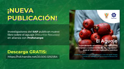 Investigadores Del IIAP Publican Libro Sobre El Aguaje Noticias