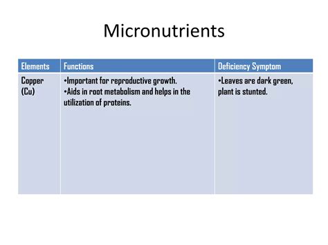 69 Macronutrients And Micronutrients In Plants Ppt