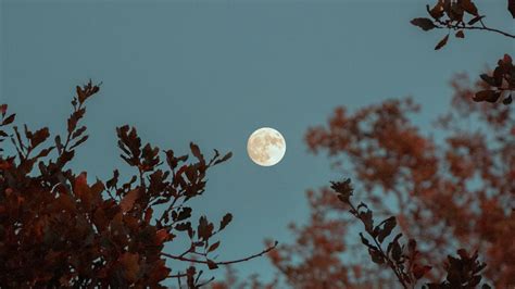 Rituales Para Aprovecharte De La Energ A Que Trae La Luna Llena De Marzo