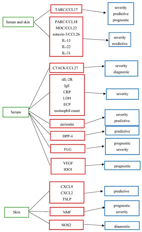 Biomarkers In Atopic Dermatitis Encyclopedia MDPI