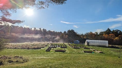 Wanderwood Maine Organic Farmers And Gardeners