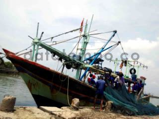 Bongkar Muat Ikan Di Pelabuhan Perikanan Pantai Morodemak DATATEMPO