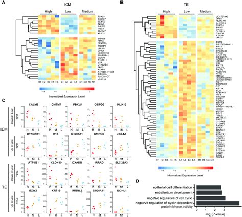 Identification Of Differentially Expressed Genes Degs A B Heatmap