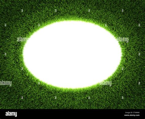 Fresh Green Grass Circle Frame Isolated On White Background 3d Render