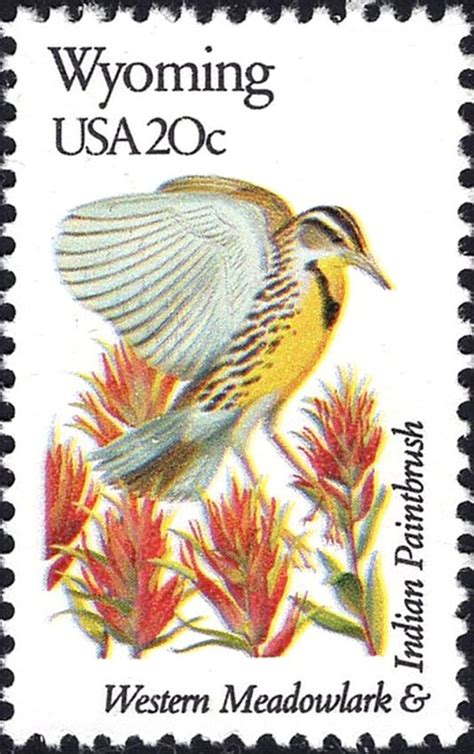 Five 20c Wyoming State Bird And Flower Stamp Vintage Unused Etsy