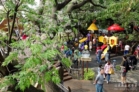 桃園。特色公園 虎頭山公園。奧爾森林學堂～免費溜滑梯玩不完～桃園免費景點 兔兒毛毛姊妹花