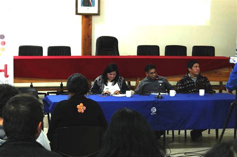 Radio Kurruf Académicos y educadores mapuche participaron del primer