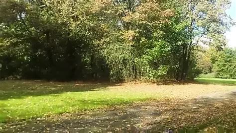 Chacal Dormido Free Solo Man Porn Video B XHamster